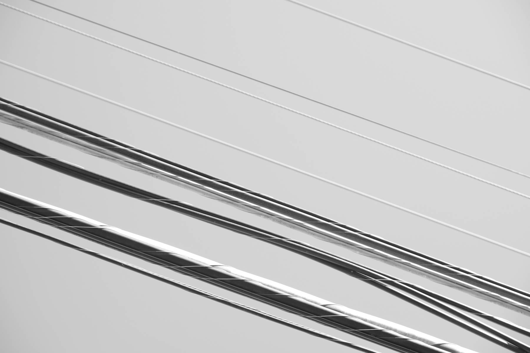 Telephone Wires